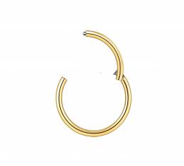 I-00675-10mm Hinged Septum